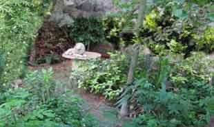 _ANTHANASSA Greek gardens.